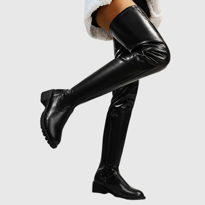 Fenisse Leather Shoes