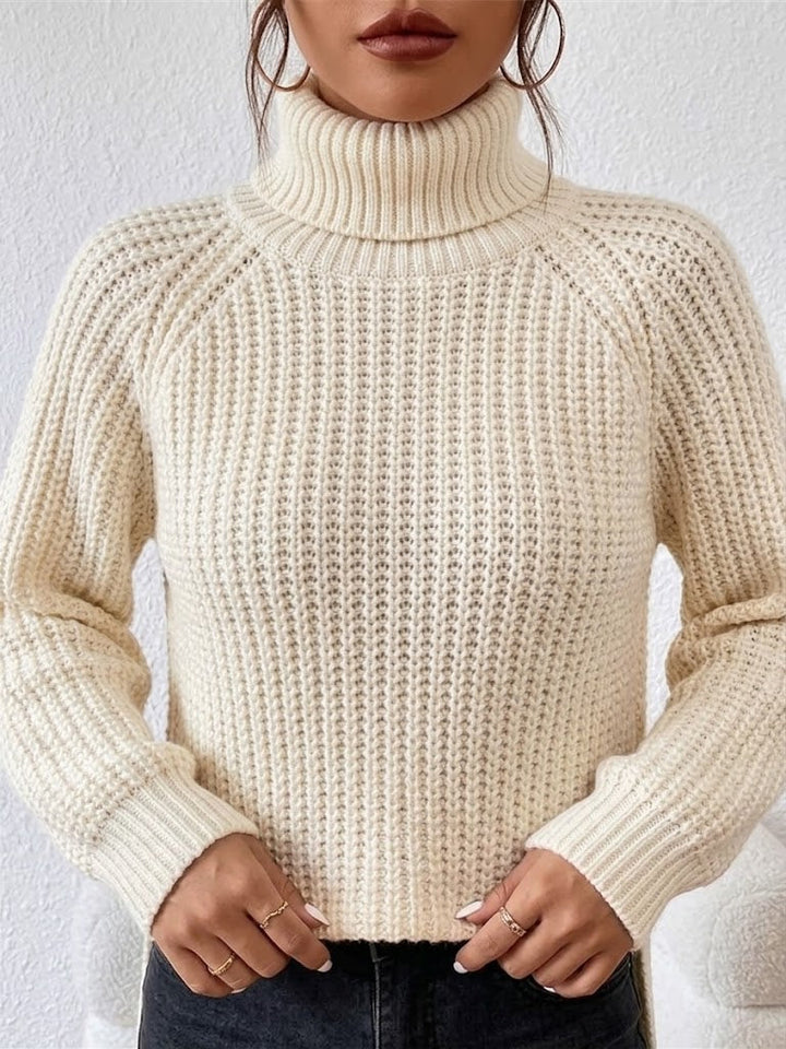 Nesa Knit Sweater